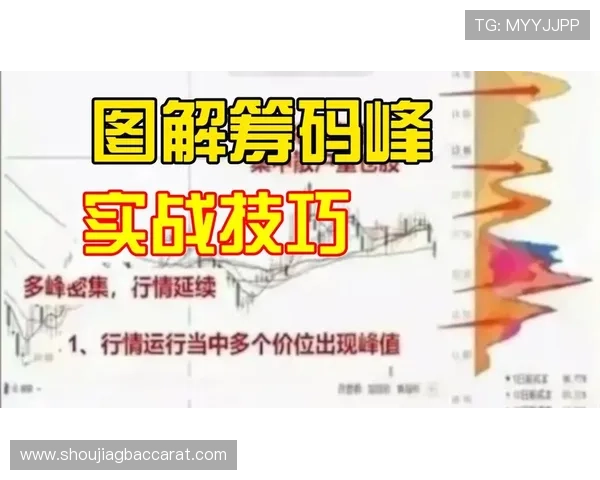 云顶赌场筹码的购买指南帮助玩家轻松掌握各种筹码的选择与使用技巧