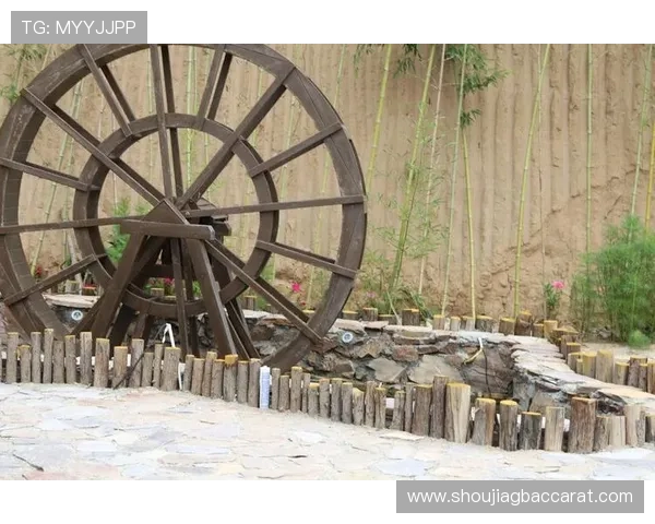 万利真人游戏网站注册流程与新手攻略全方位指导助你快速上手